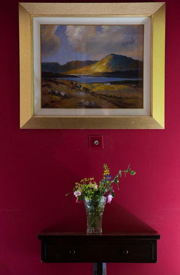 Ross Castle B&B Oldcastle Extérieur photo
