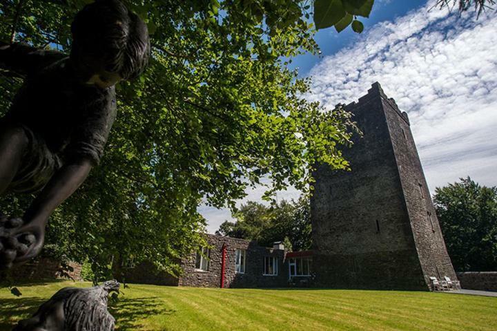 Ross Castle B&B Oldcastle Extérieur photo