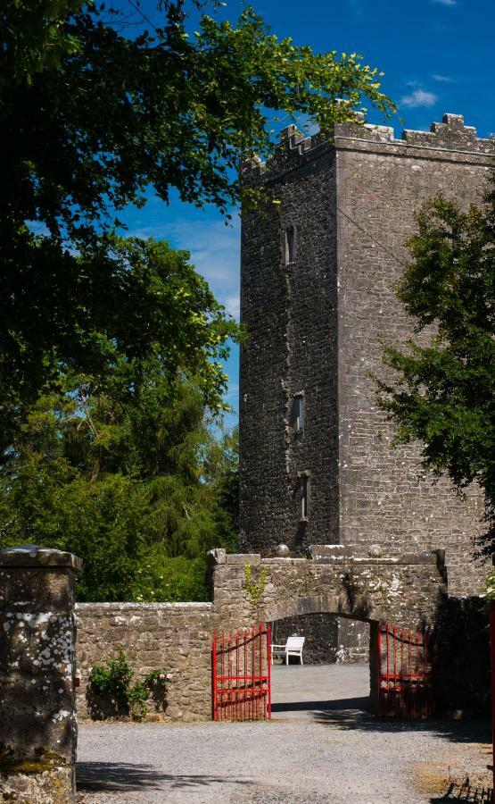 Ross Castle B&B Oldcastle Extérieur photo